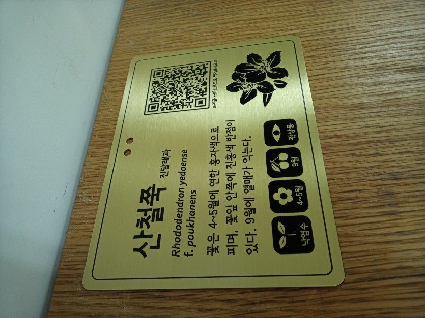 4c498de6f91b37c013e8970300df94b2_1622702530_1942.jpg